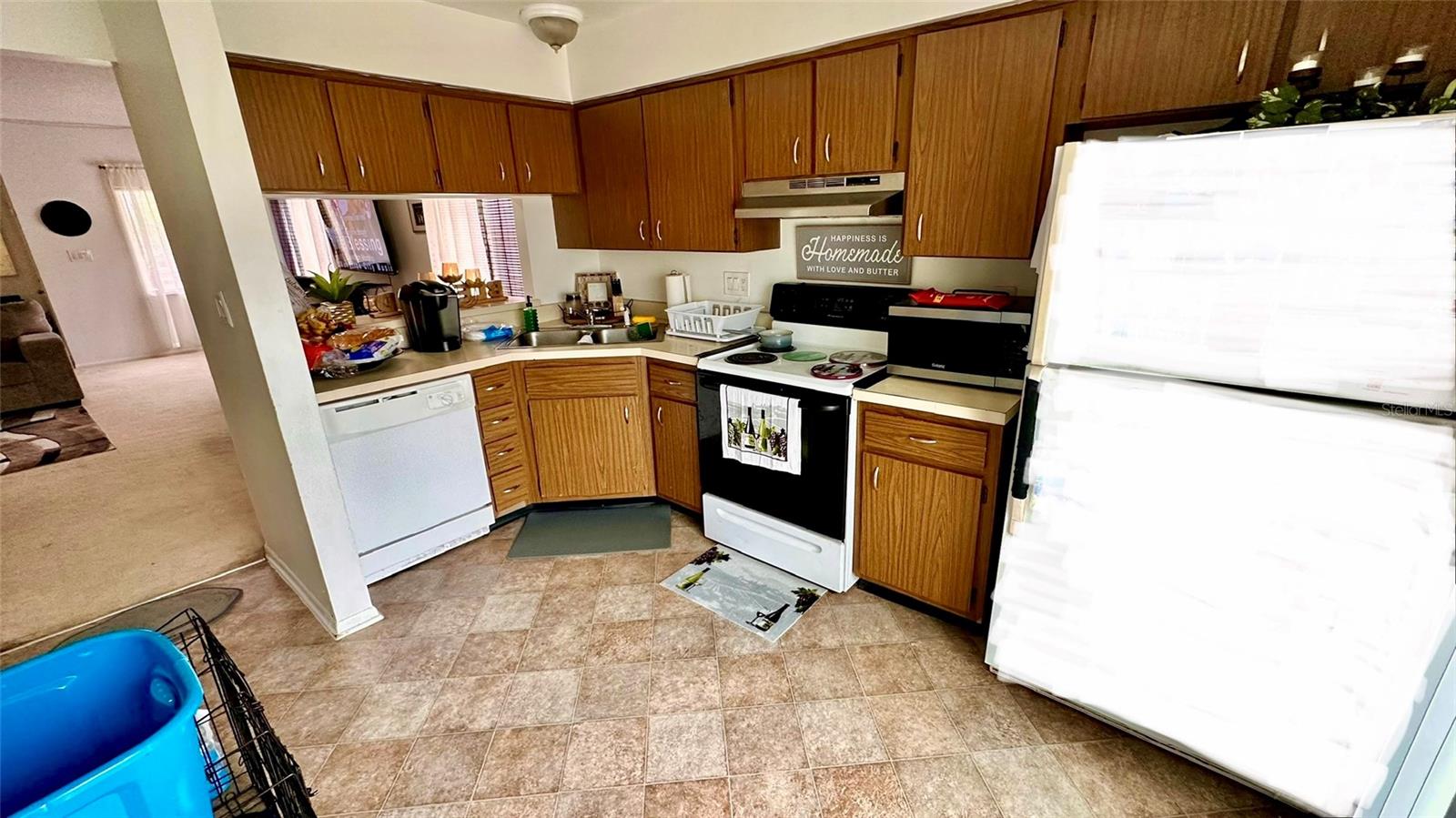 1326 SPRING LITE WAY, ORLANDO, FL, 32825