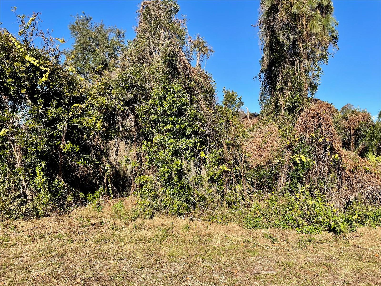 1091 PEAK CIR, DELTONA, FL, 32738