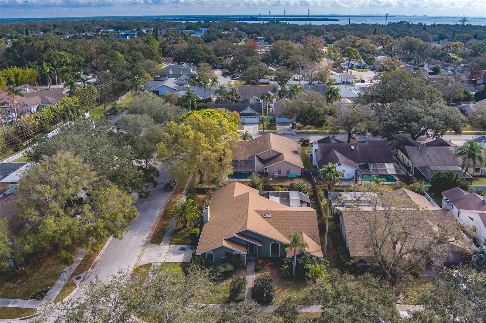 1112 WOODCREST AVE, SAFETY HARBOR, FL, 34695