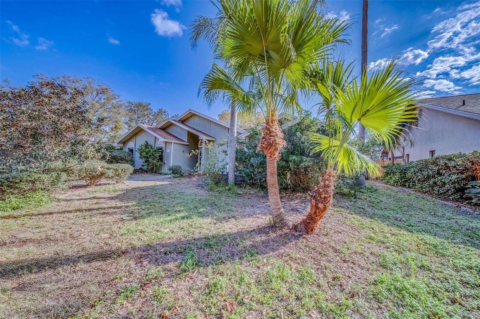 1112 WOODCREST AVE, SAFETY HARBOR, FL, 34695