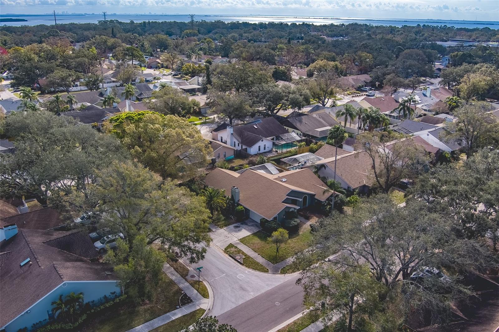 1112 WOODCREST AVE, SAFETY HARBOR, FL, 34695