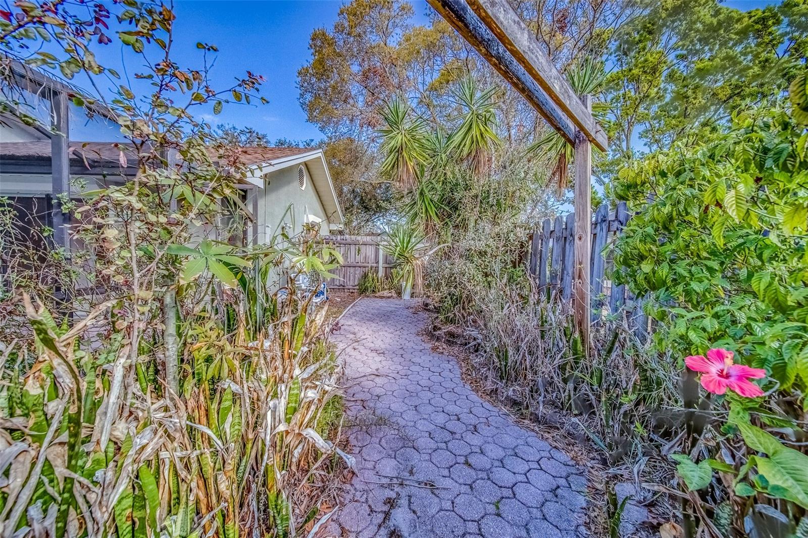 1112 WOODCREST AVE, SAFETY HARBOR, FL, 34695