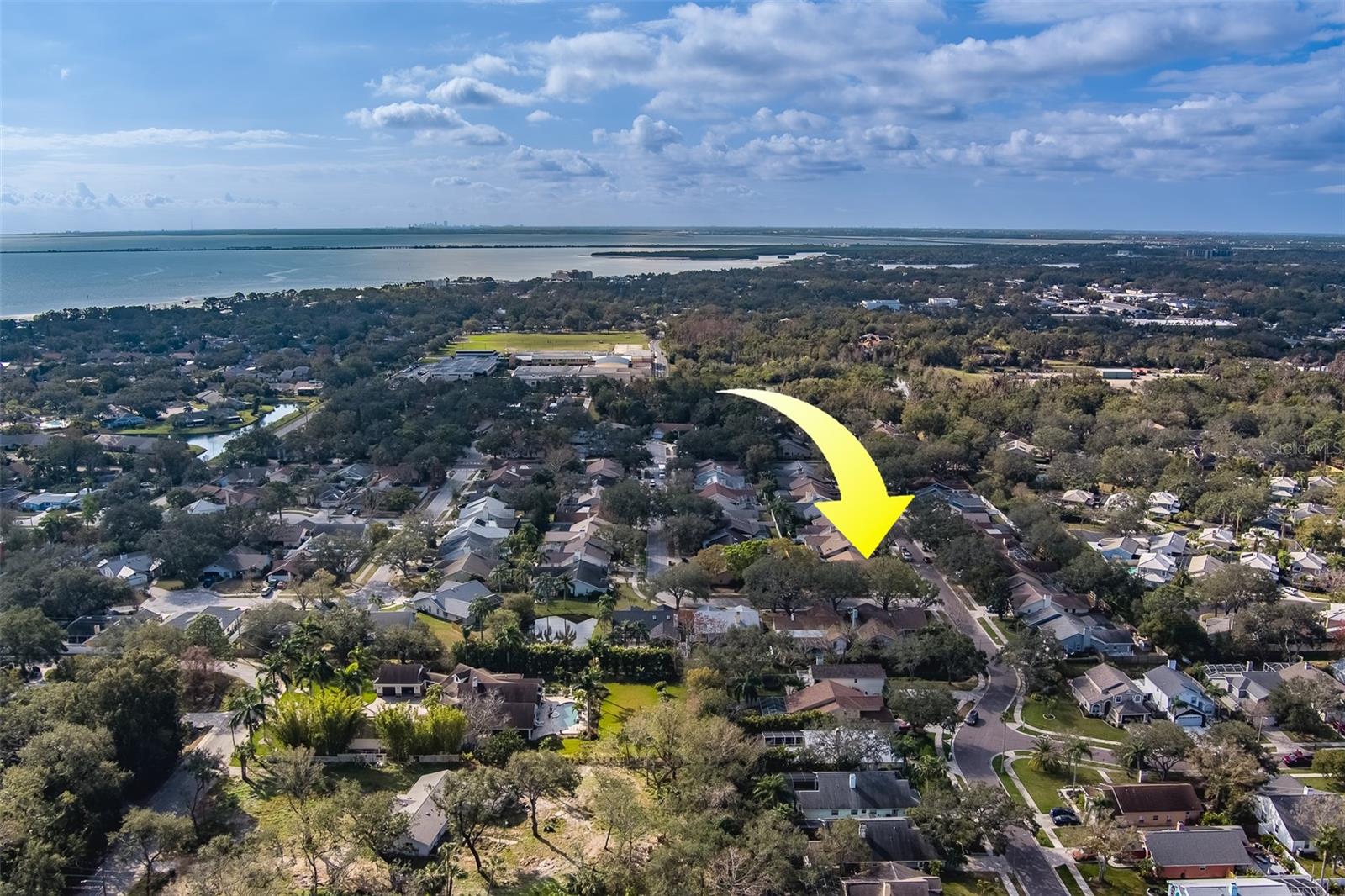 1112 WOODCREST AVE, SAFETY HARBOR, FL, 34695