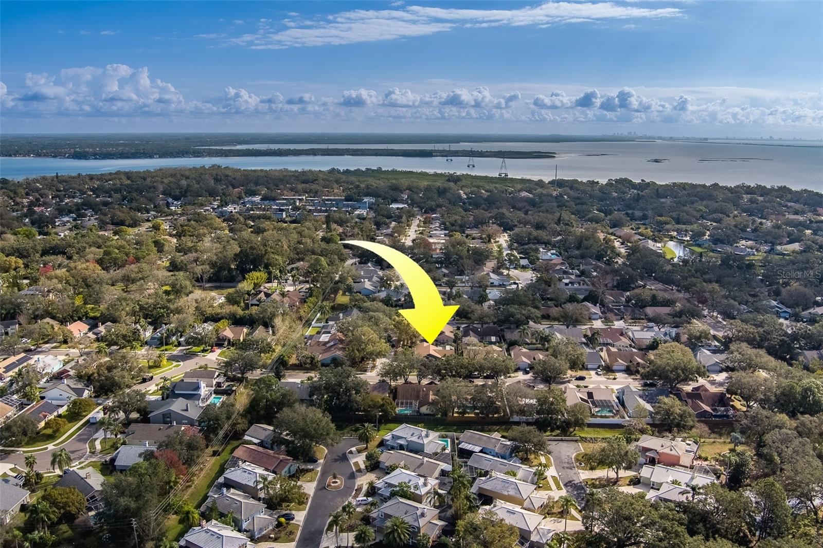 1112 WOODCREST AVE, SAFETY HARBOR, FL, 34695