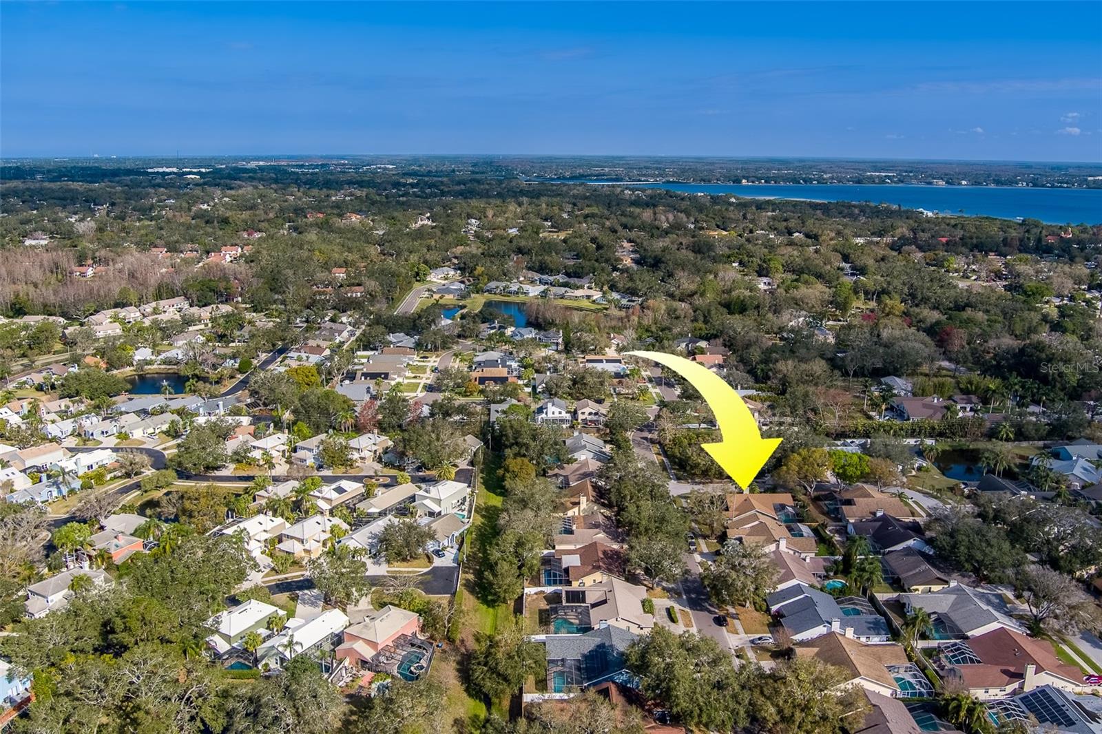 1112 WOODCREST AVE, SAFETY HARBOR, FL, 34695