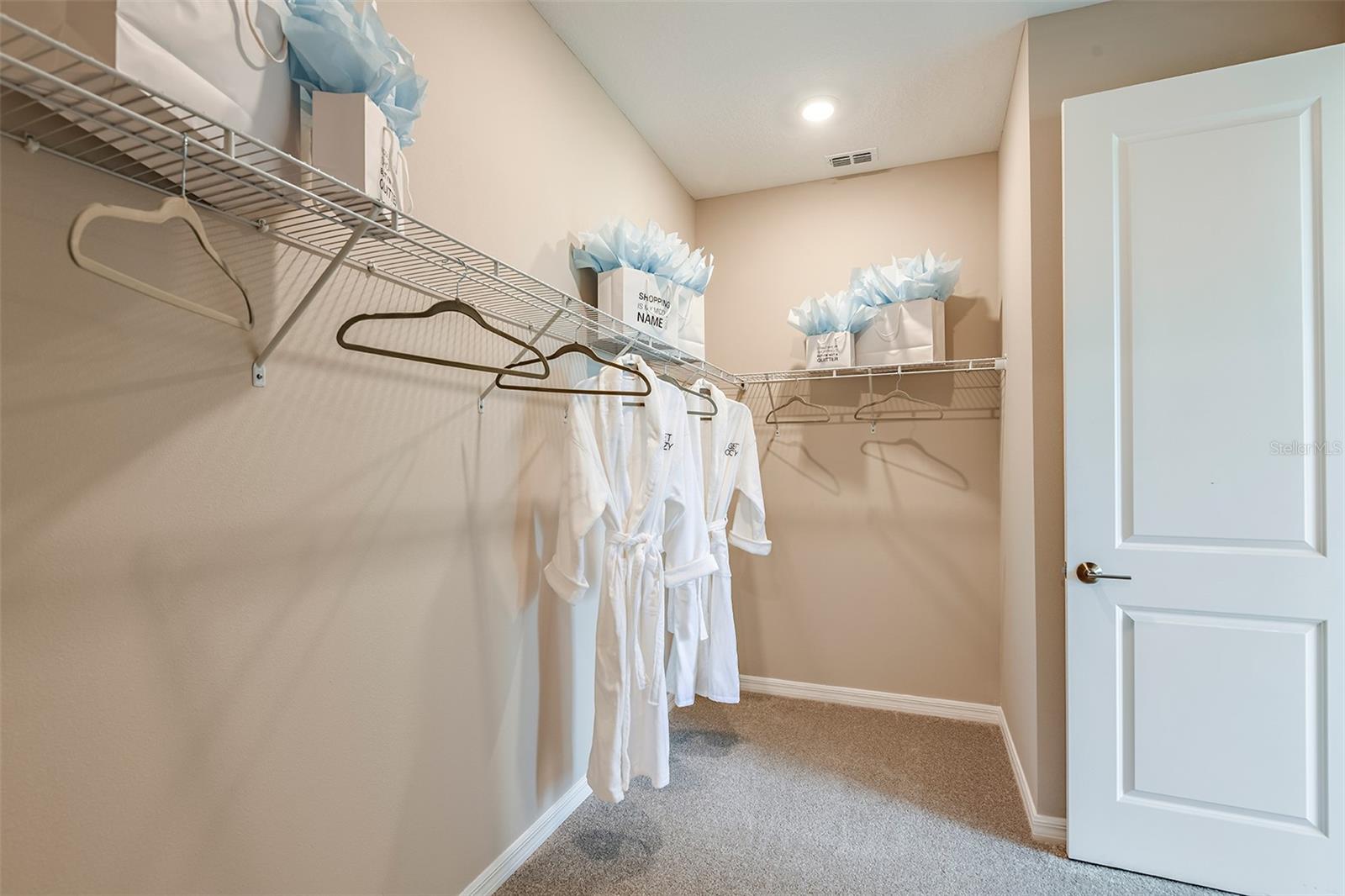 710 SKY SHADE DR, APOLLO BEACH, FL, 33572
