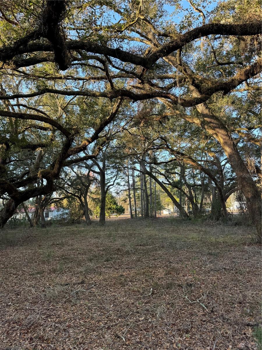 SW LYNNWOOD AVE, LAKE CITY, FL, 32025