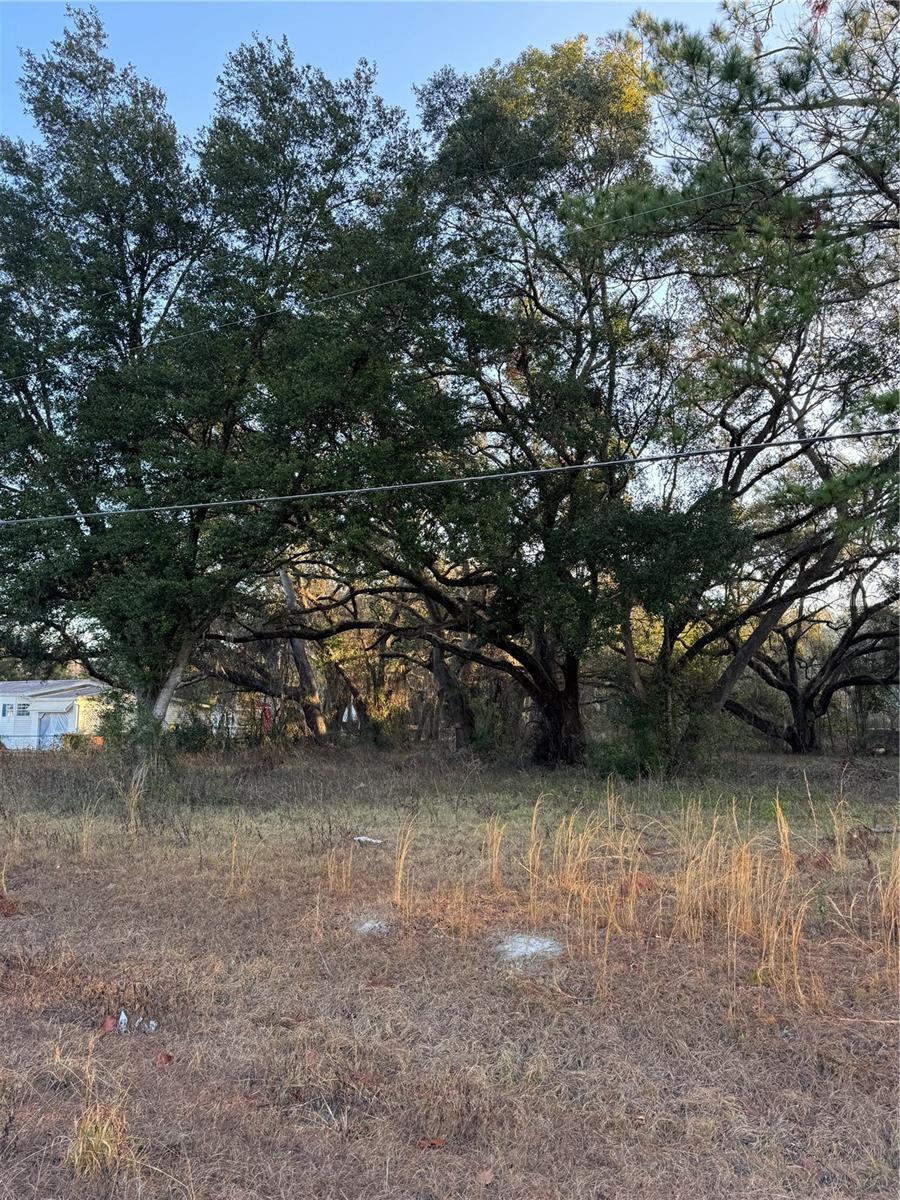 SW LYNNWOOD AVE, LAKE CITY, FL, 32025