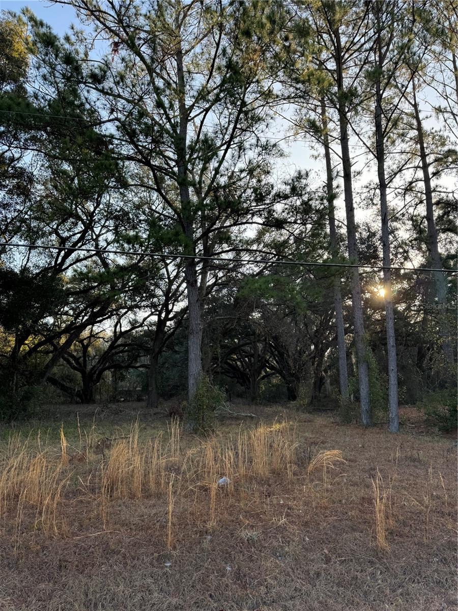 SW LYNNWOOD AVE, LAKE CITY, FL, 32025