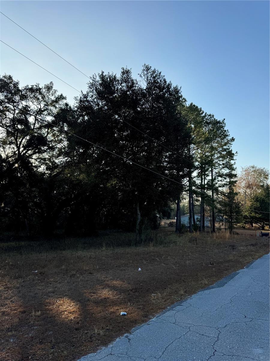 SW LYNNWOOD AVE, LAKE CITY, FL, 32025