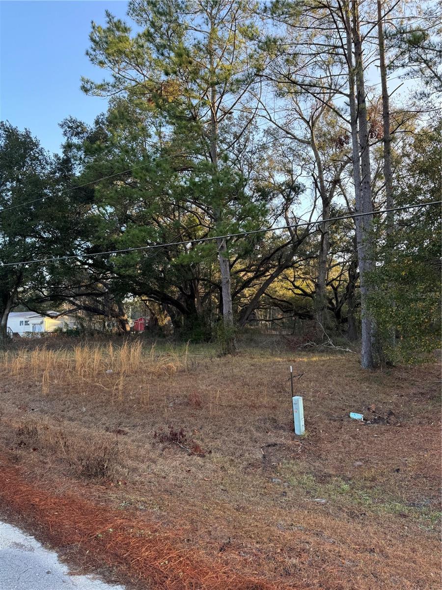 SW LYNNWOOD AVE, LAKE CITY, FL, 32025