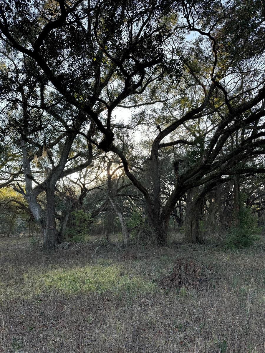 SW LYNNWOOD AVE, LAKE CITY, FL, 32025