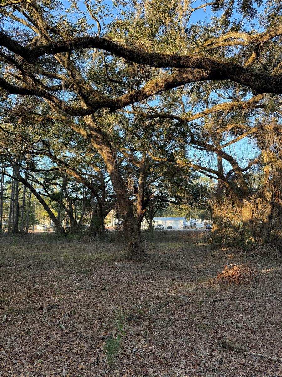 SW LYNNWOOD AVE, LAKE CITY, FL, 32025