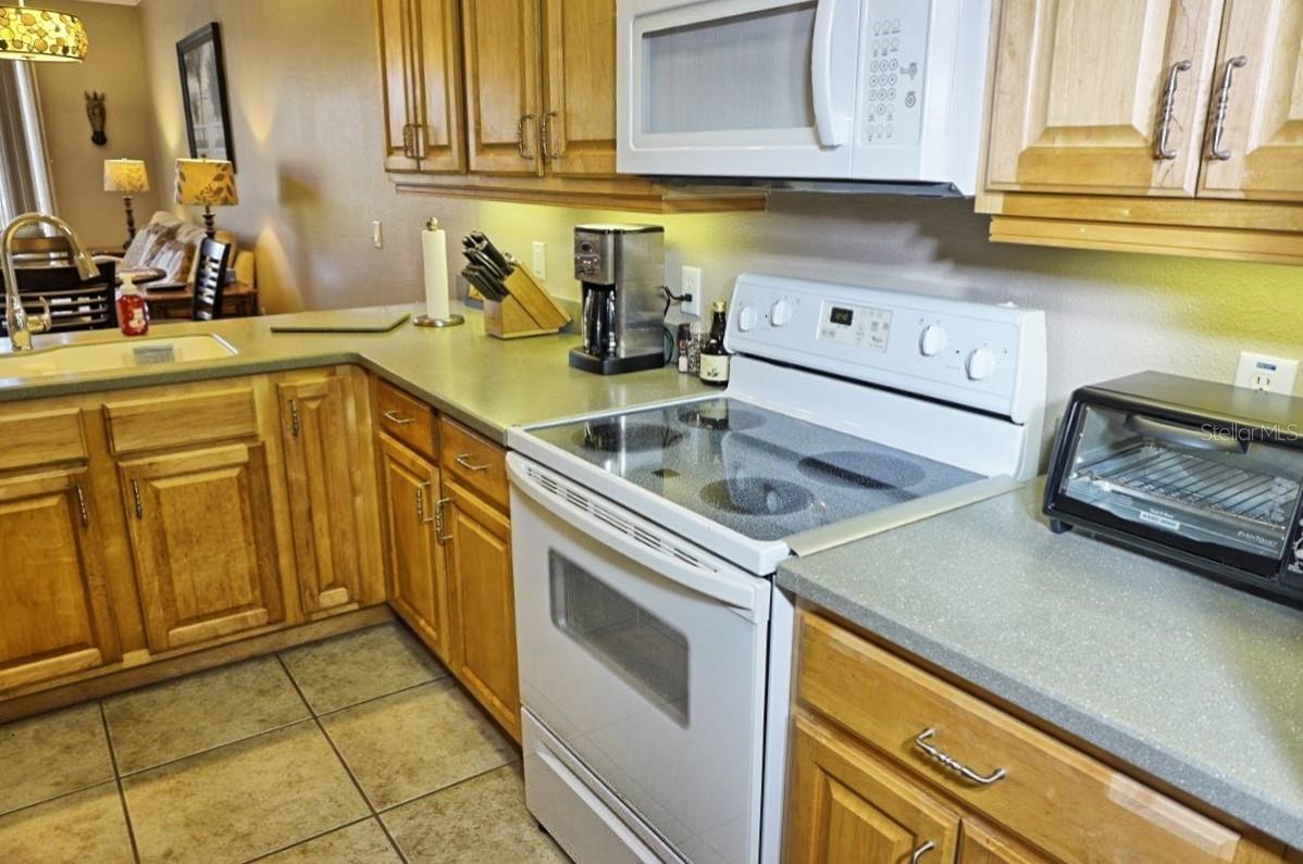 6801 DALI AVE #G104, LAND O LAKES, FL, 34637