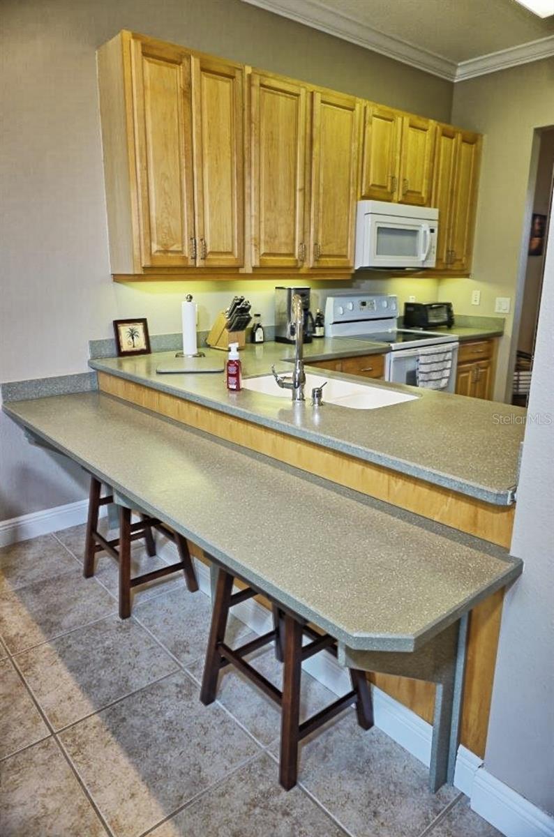 6801 DALI AVE #G104, LAND O LAKES, FL, 34637