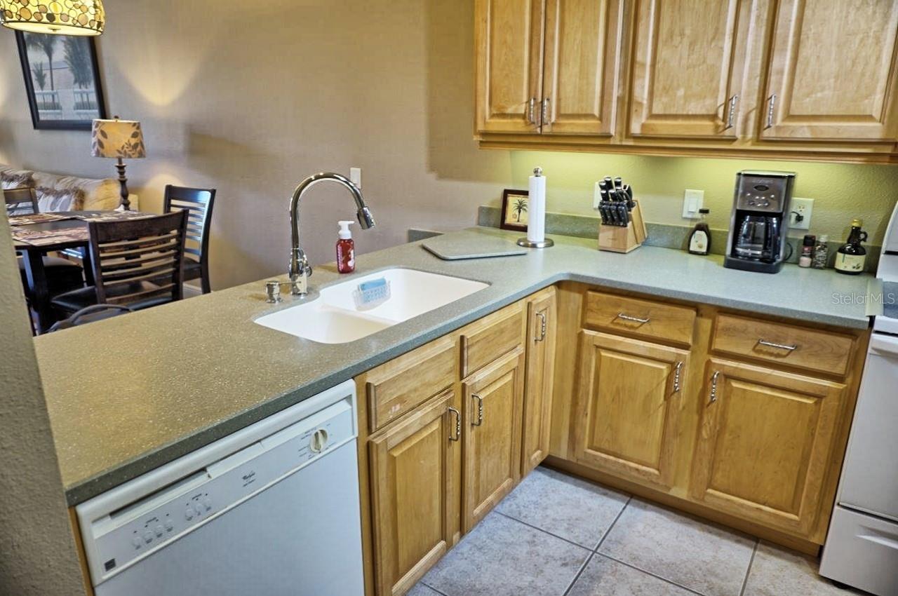 6801 DALI AVE #G104, LAND O LAKES, FL, 34637
