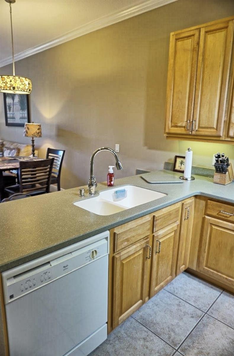 6801 DALI AVE #G104, LAND O LAKES, FL, 34637