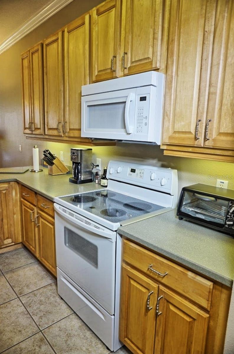 6801 DALI AVE #G104, LAND O LAKES, FL, 34637
