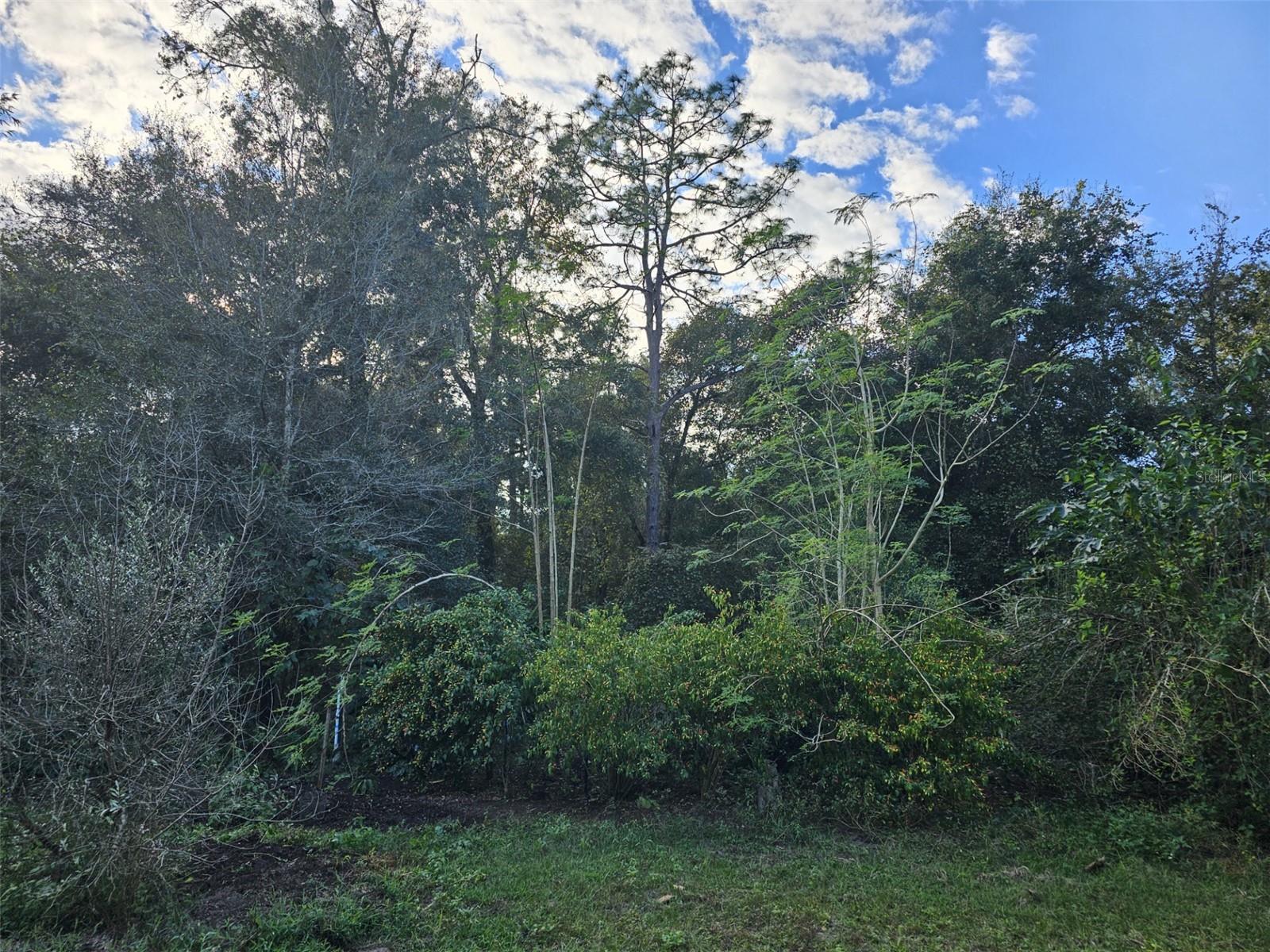 14040 NE 151 TER, FORT MC COY, FL, 32134