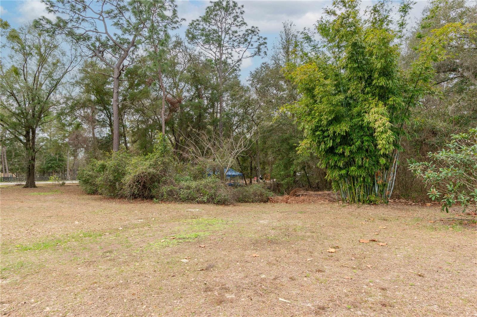 14040 NE 151 TER, FORT MC COY, FL, 32134