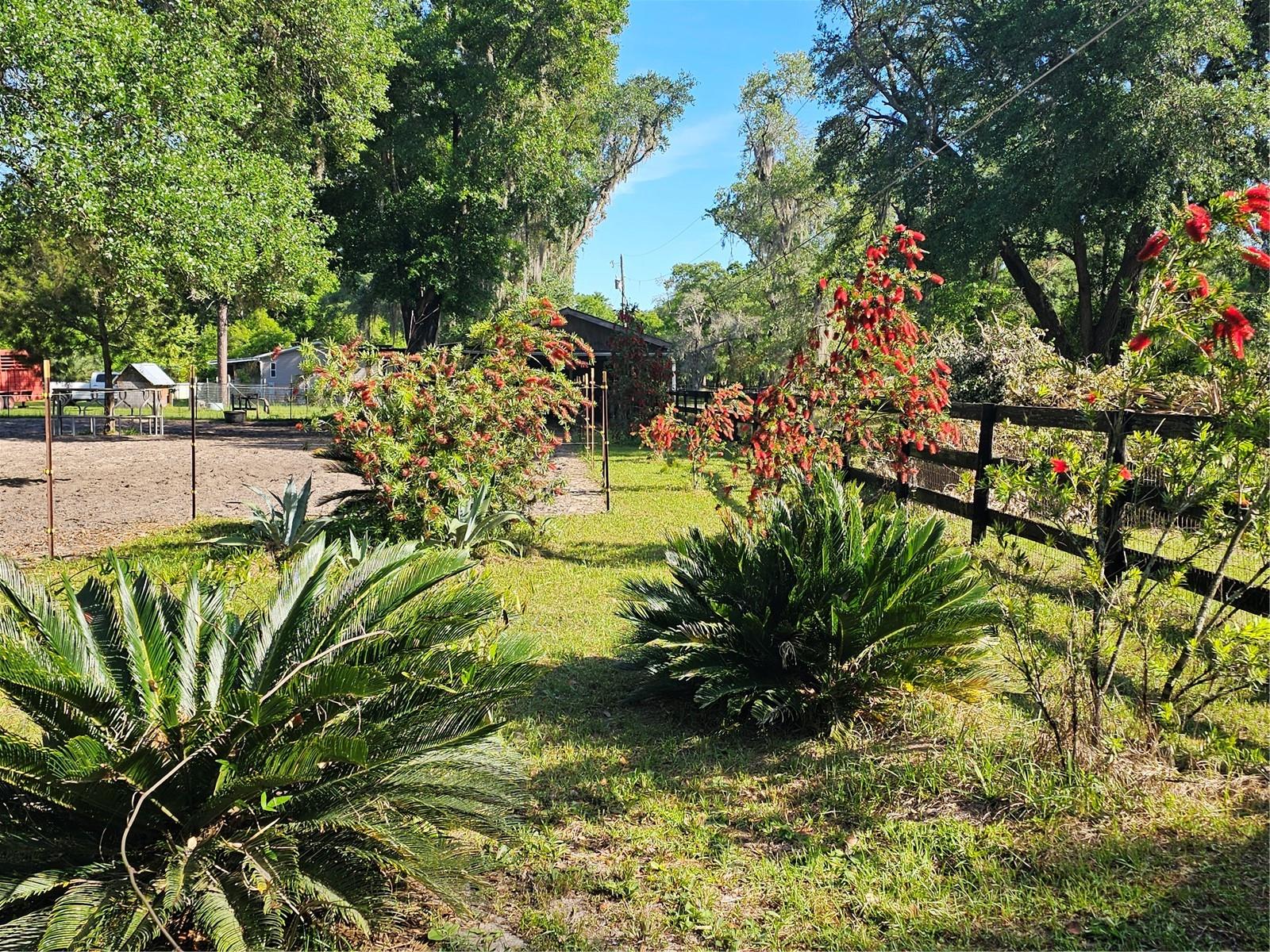 14040 NE 151 TER, FORT MC COY, FL, 32134