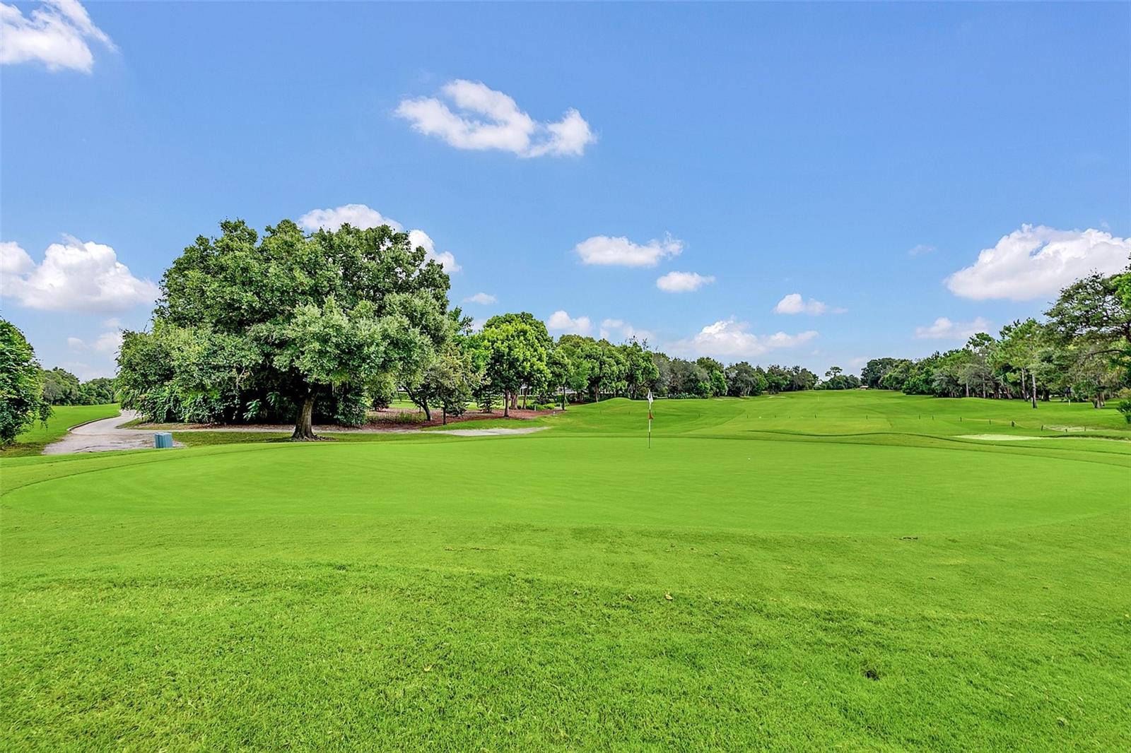 340 PLANTATION CLUB DR, DEBARY, FL, 32713