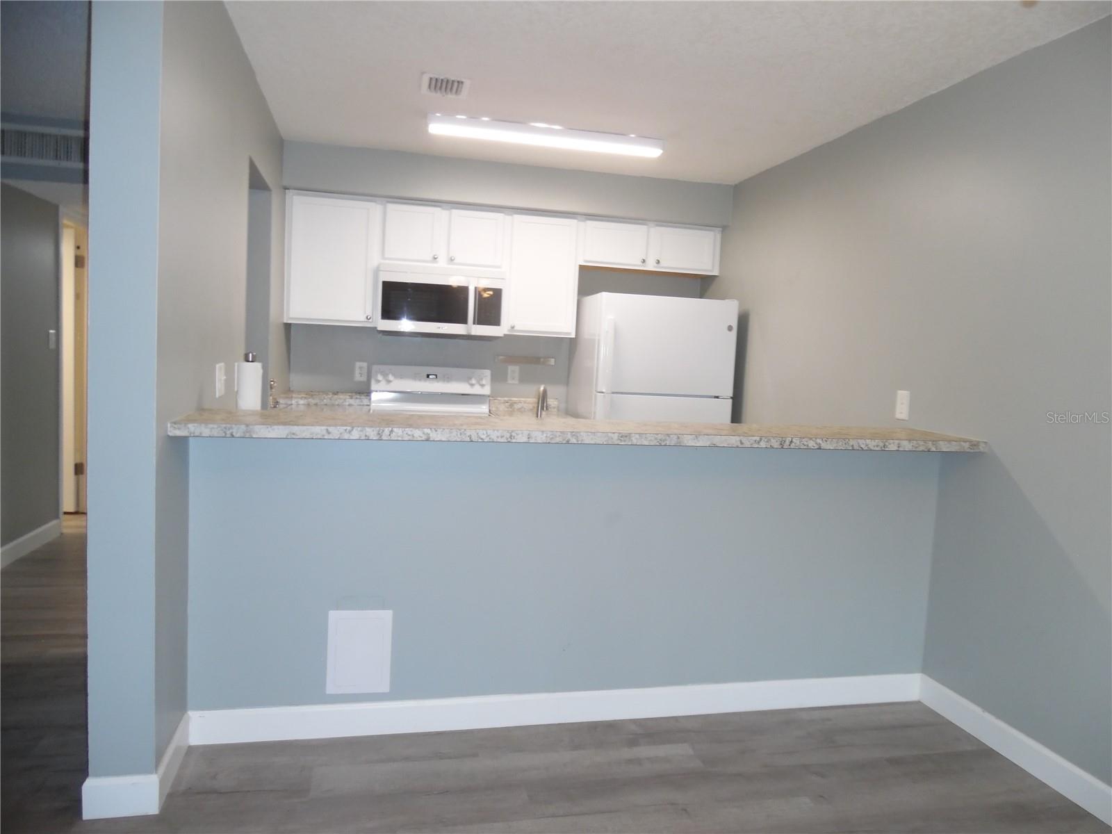 723 PERKINS ST #104, LEESBURG, FL, 34748