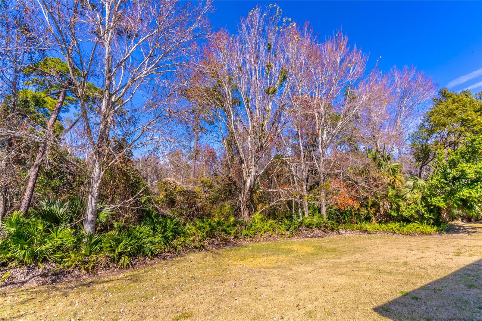 400 MAGNOLIA OAK DR, LONGWOOD, FL, 32779