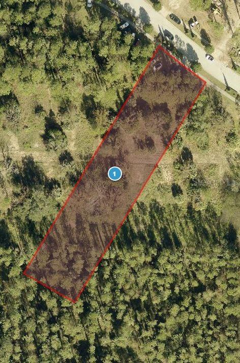 15532 PENDIO DR, BELLA COLLINA, FL, 34756