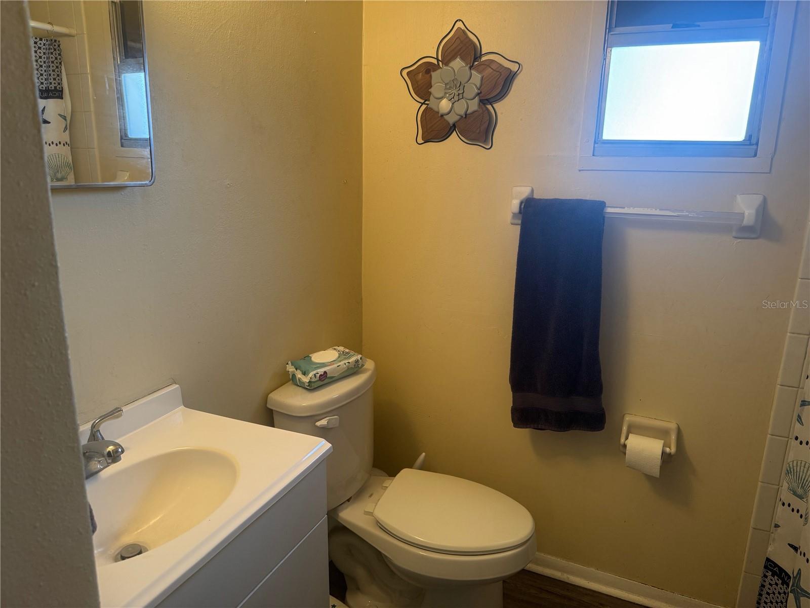 4106 W MANGO AVE, TAMPA, FL, 33616