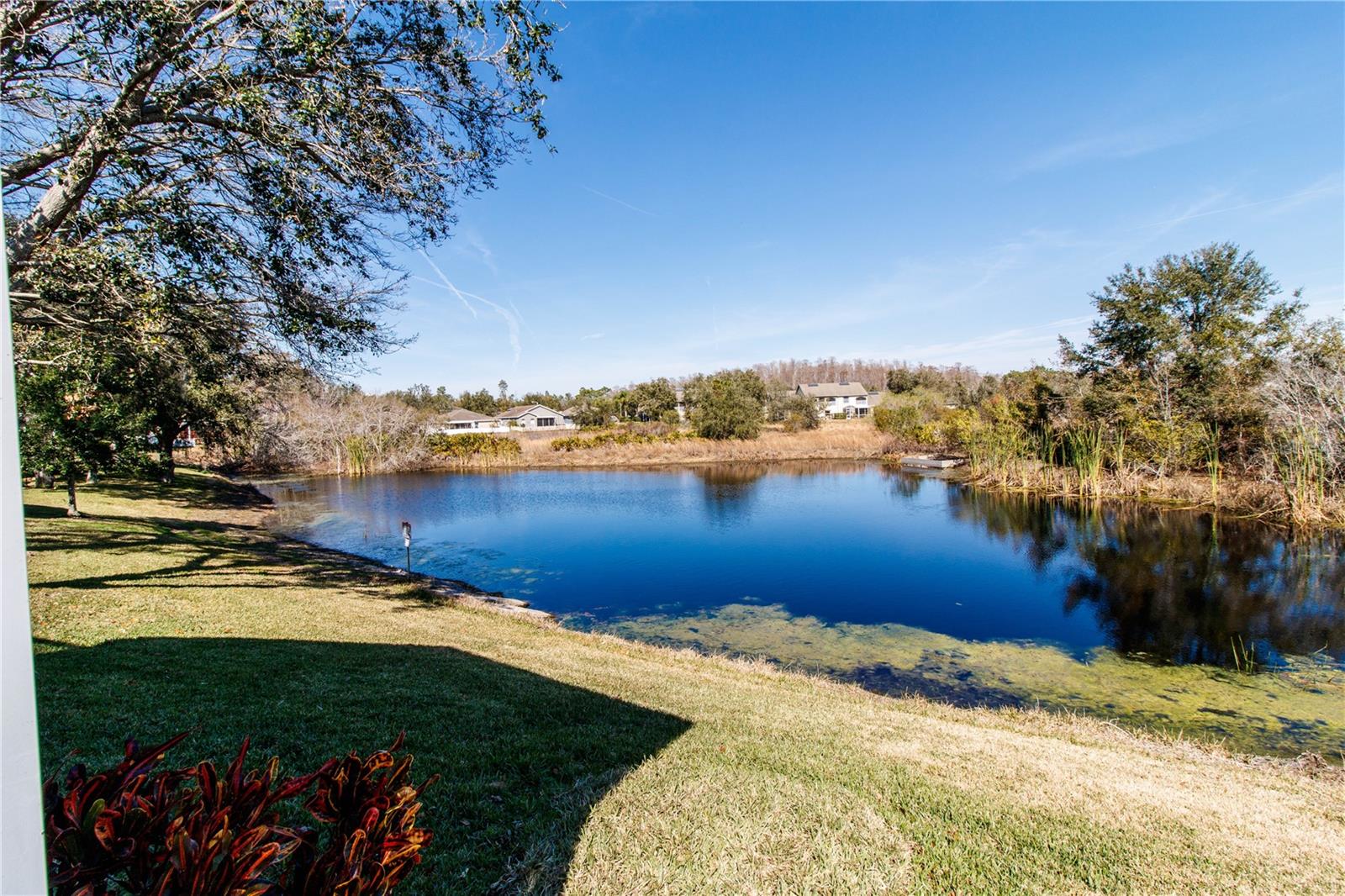 7824 HARBOR BRIDGE BLVD, NEW PORT RICHEY, FL, 34654