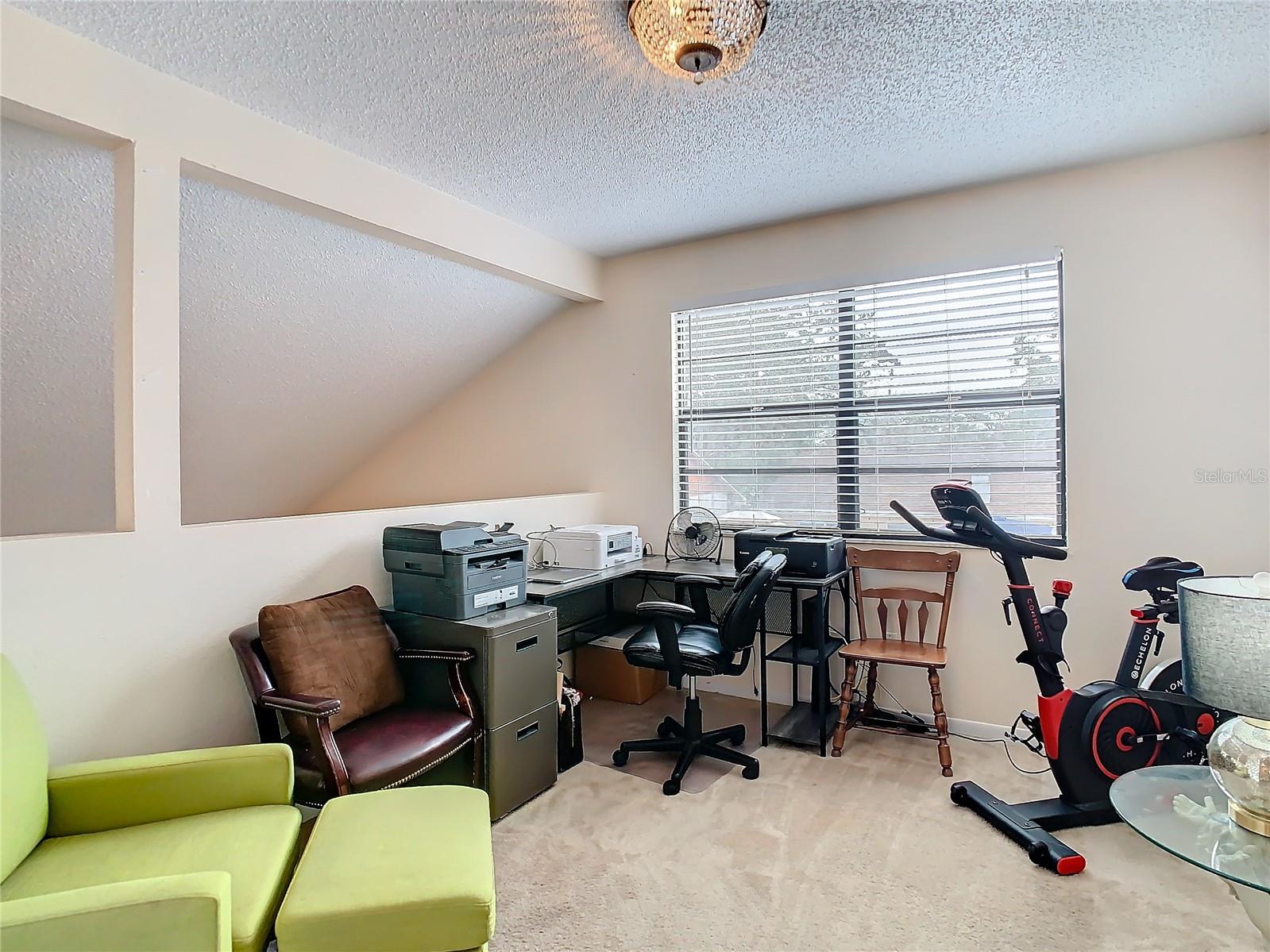 4209 E 98TH AVE, TAMPA, FL, 33617