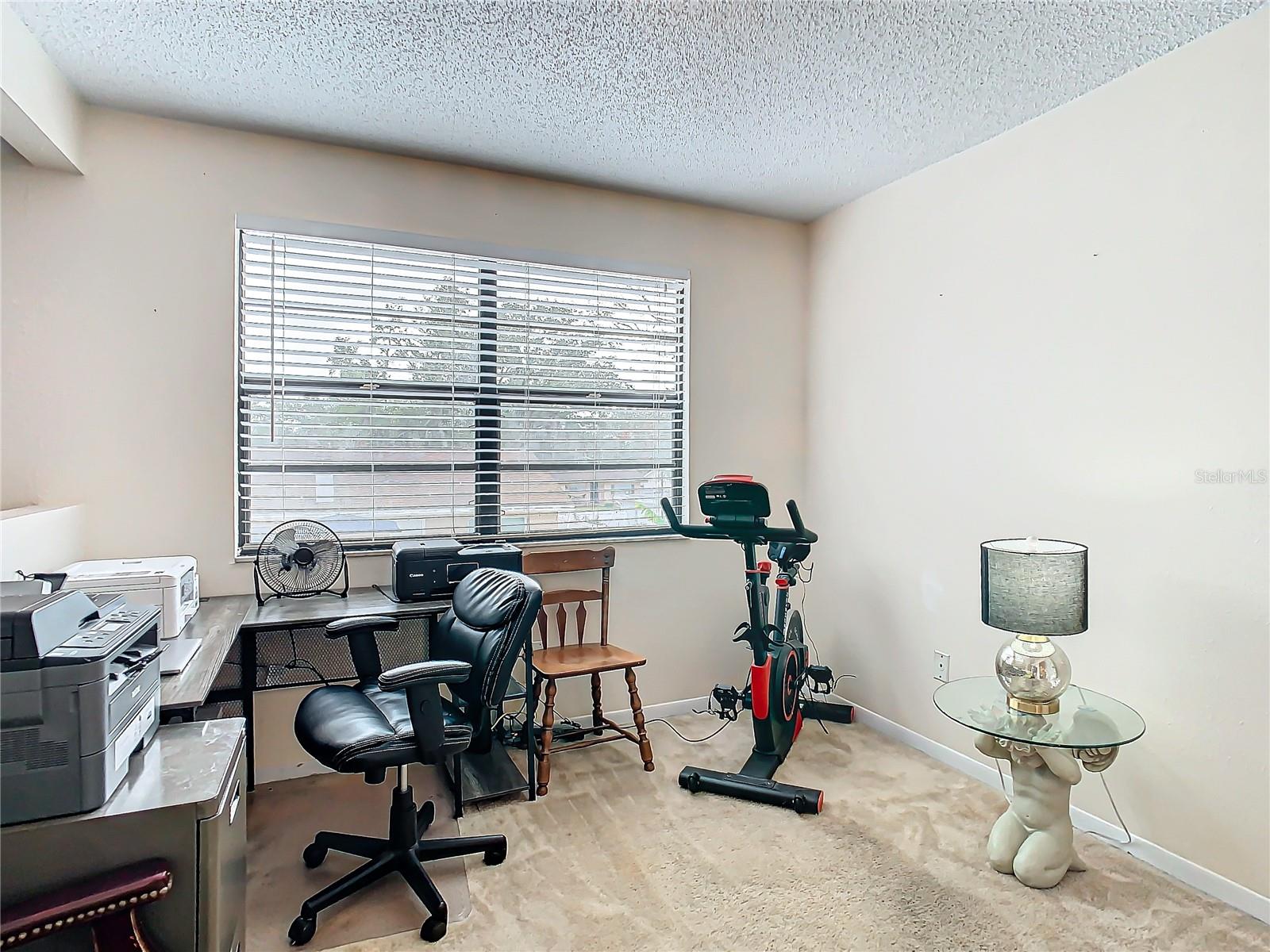 4209 E 98TH AVE, TAMPA, FL, 33617