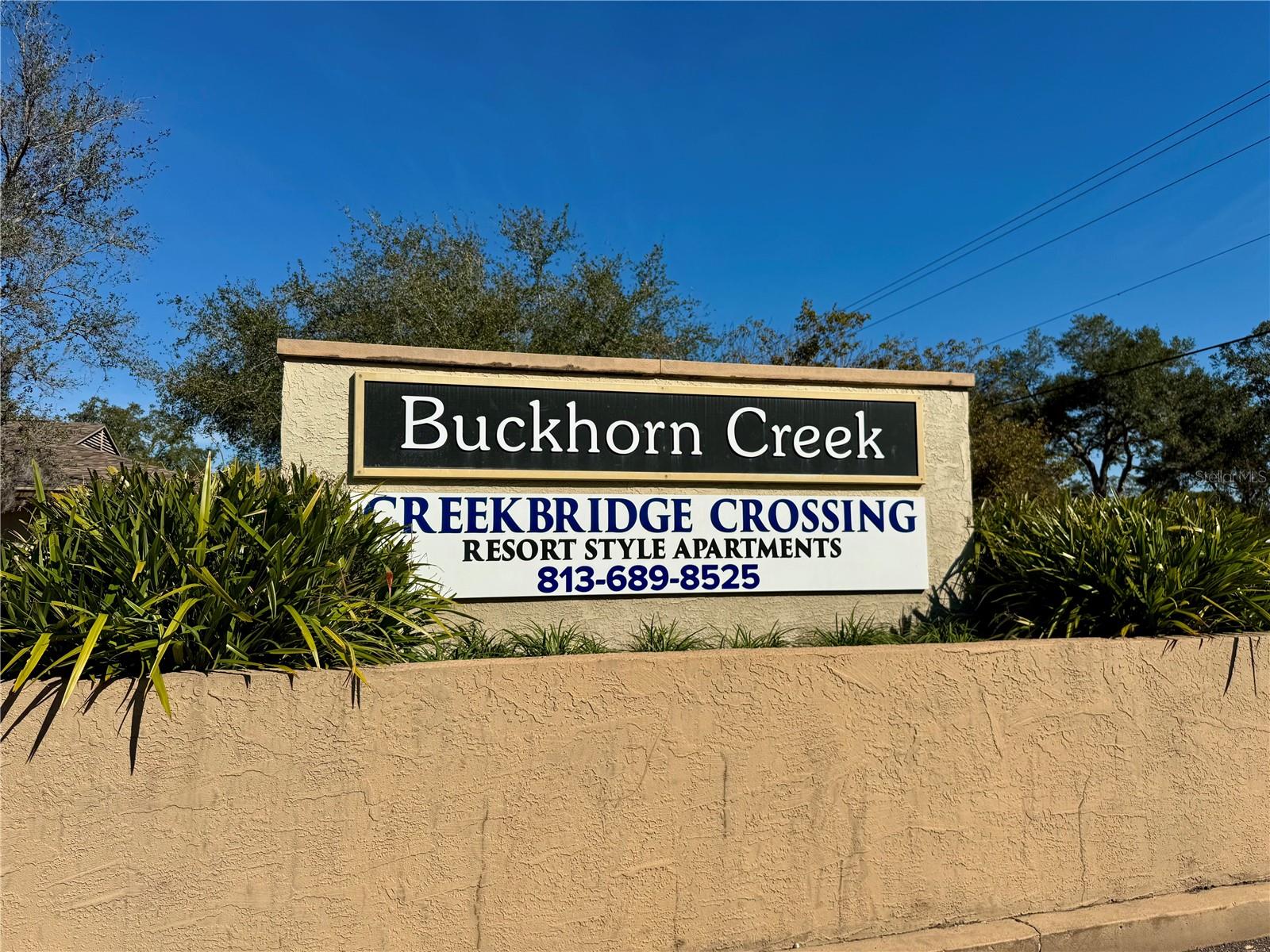 3206 ELK CT, BRANDON, FL, 33511