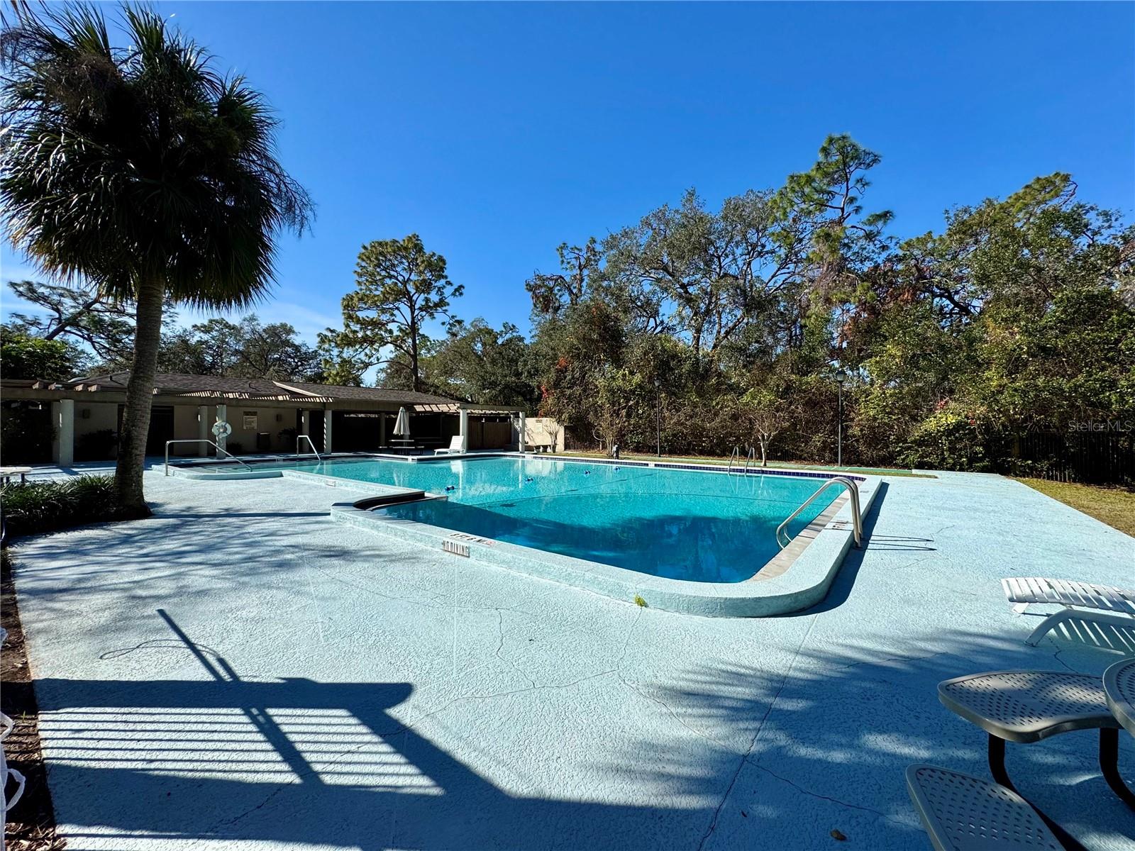 3206 ELK CT, BRANDON, FL, 33511