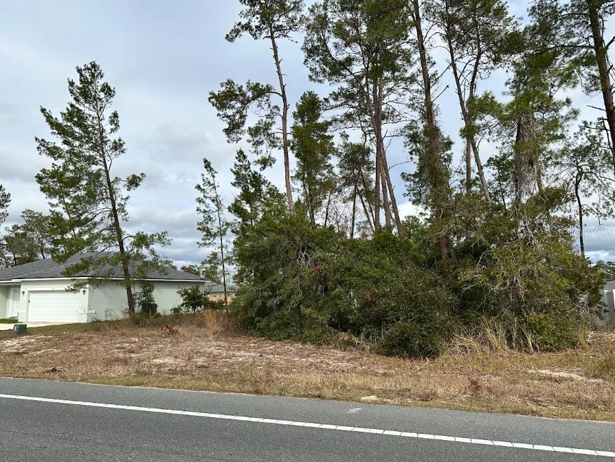 00 Lot 12 MARION OAKS MNR, OCALA, FL, 34473
