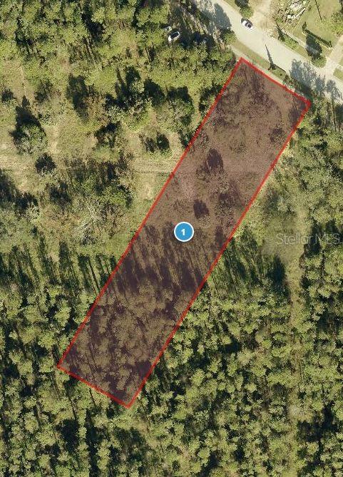 15536 PENDIO DR, BELLA COLLINA, FL, 34756