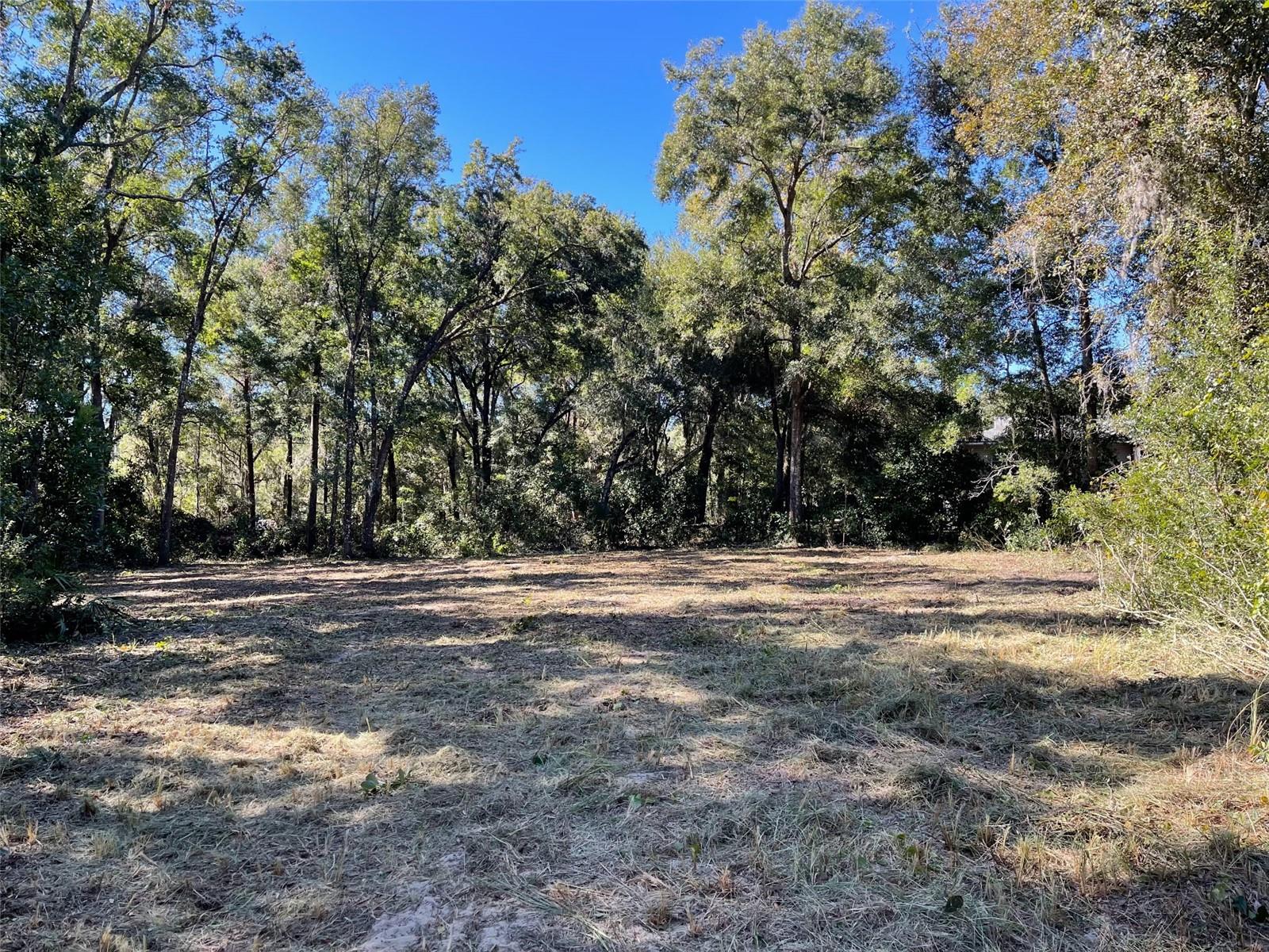 0 SW 139TH TER, OCALA, FL, 34481