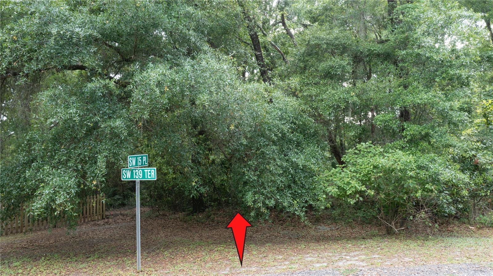 0 SW 139TH TER, OCALA, FL, 34481