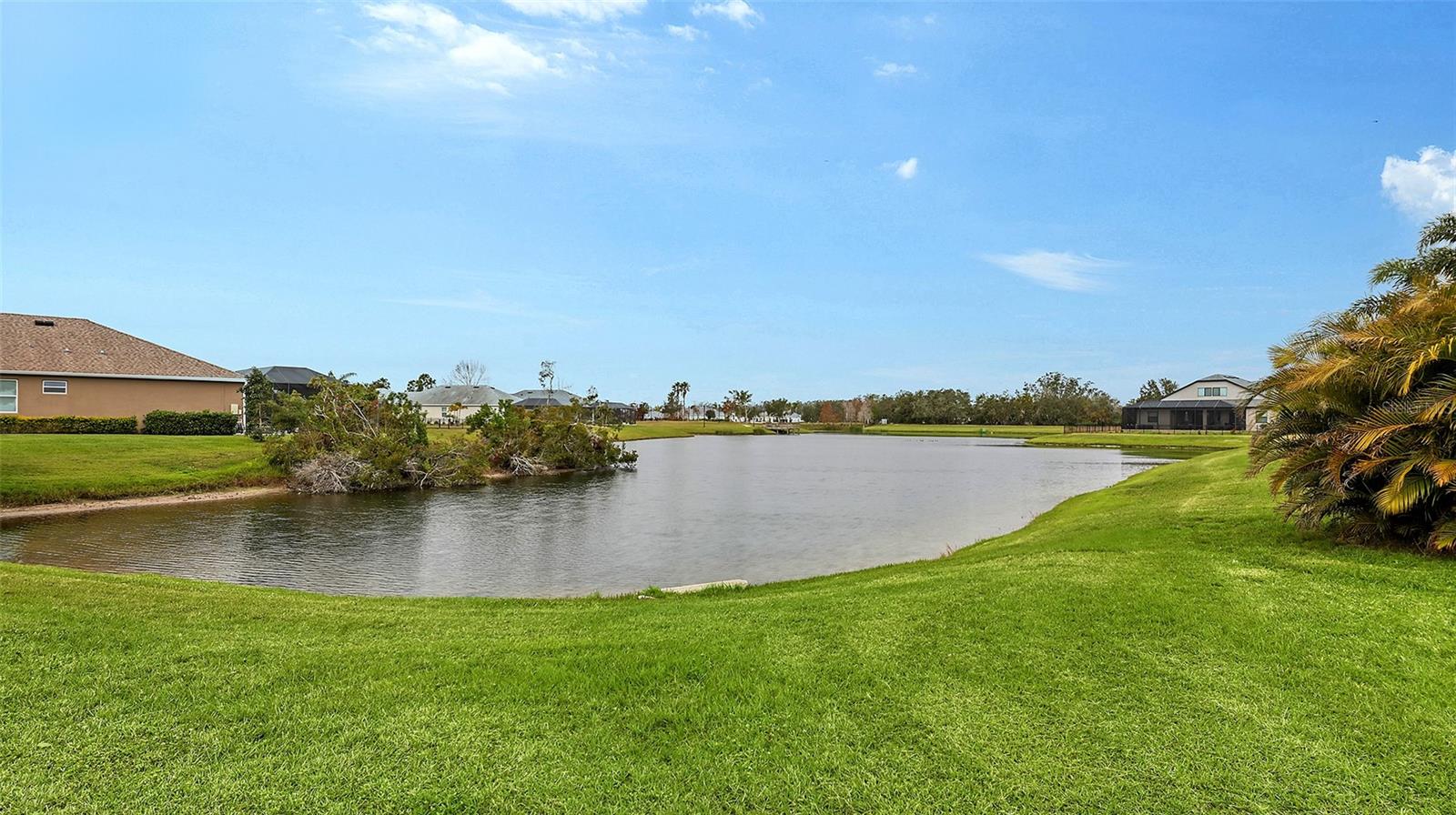 12607 WHEATGRASS CT, PARRISH, FL, 34219