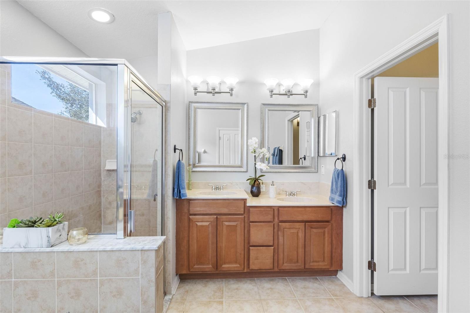 24745 PORTOFINO DR, LUTZ, FL, 33559