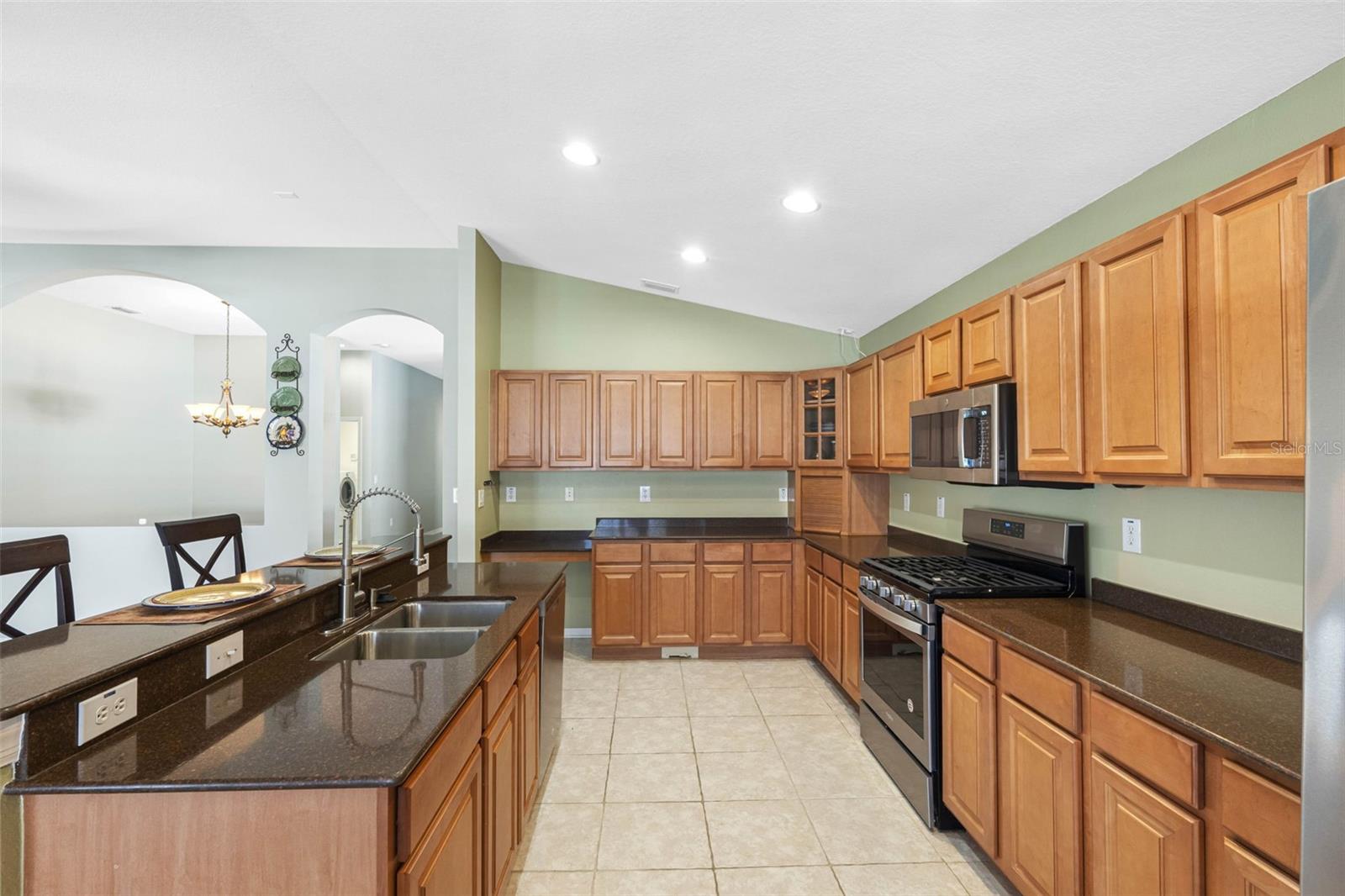 24745 PORTOFINO DR, LUTZ, FL, 33559