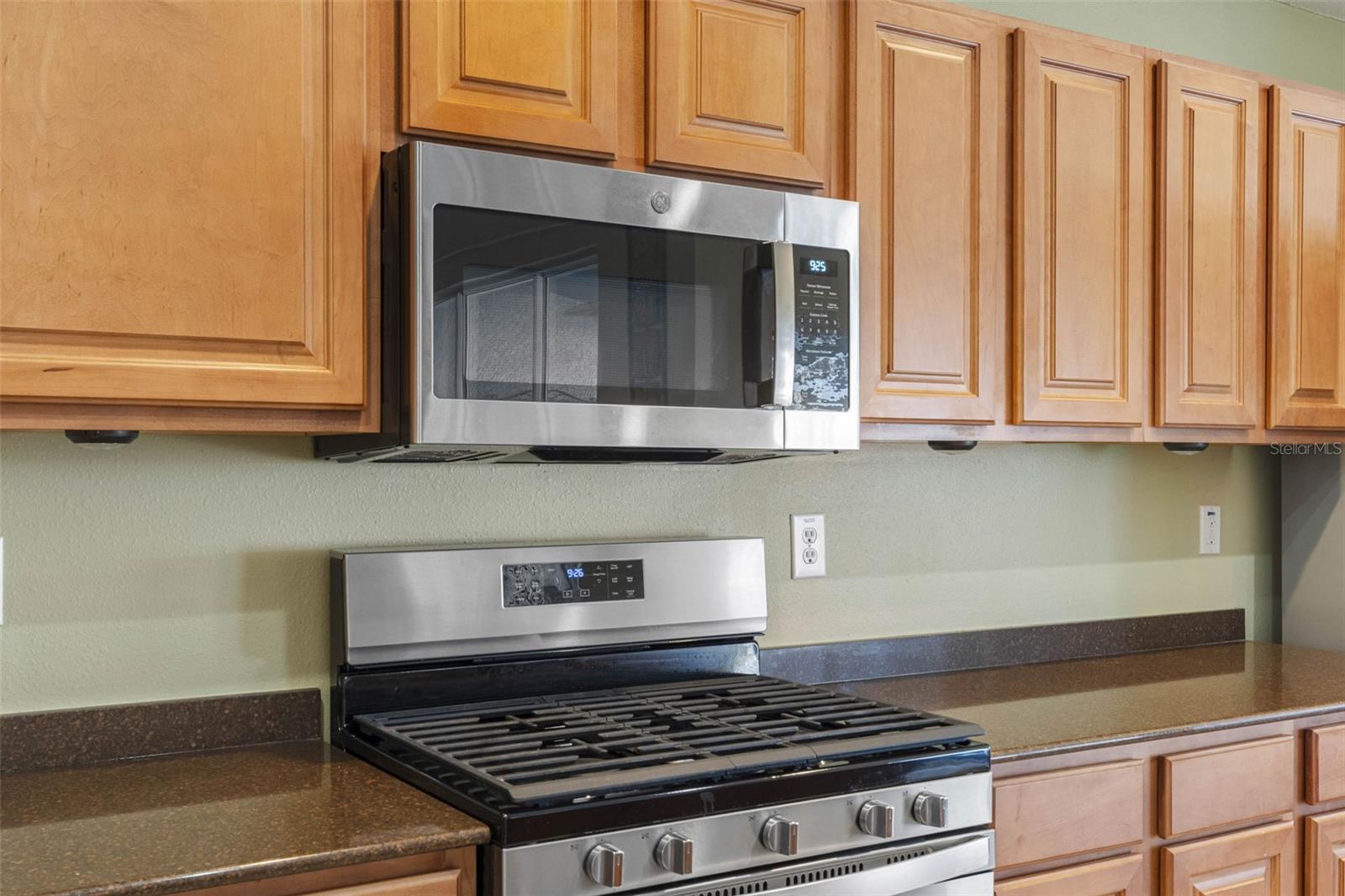 24745 PORTOFINO DR, LUTZ, FL, 33559