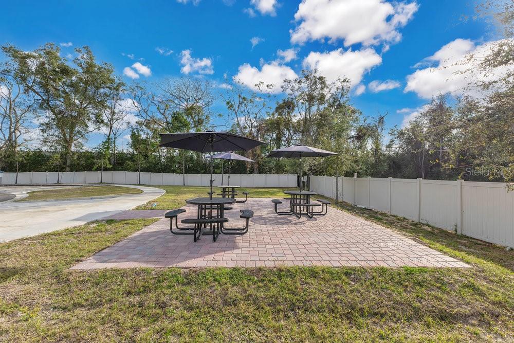 984 DESERT CANDLE DR, OCOEE, FL, 34761