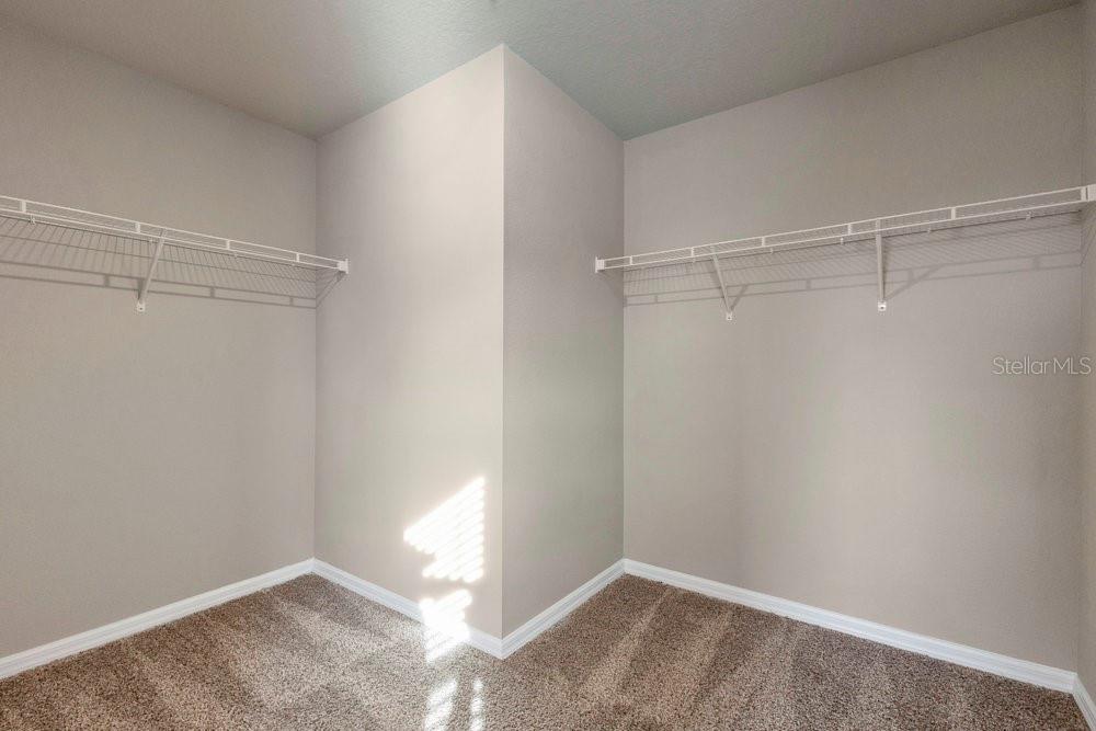 984 DESERT CANDLE DR, OCOEE, FL, 34761