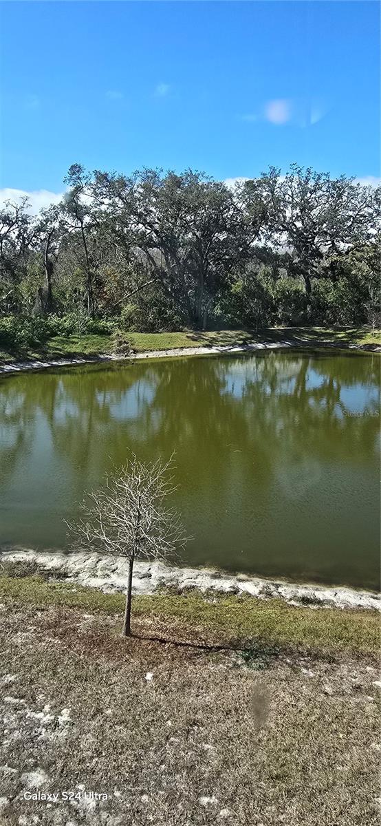 2933 JACOB CROSSING LN, HOLIDAY, FL, 34691