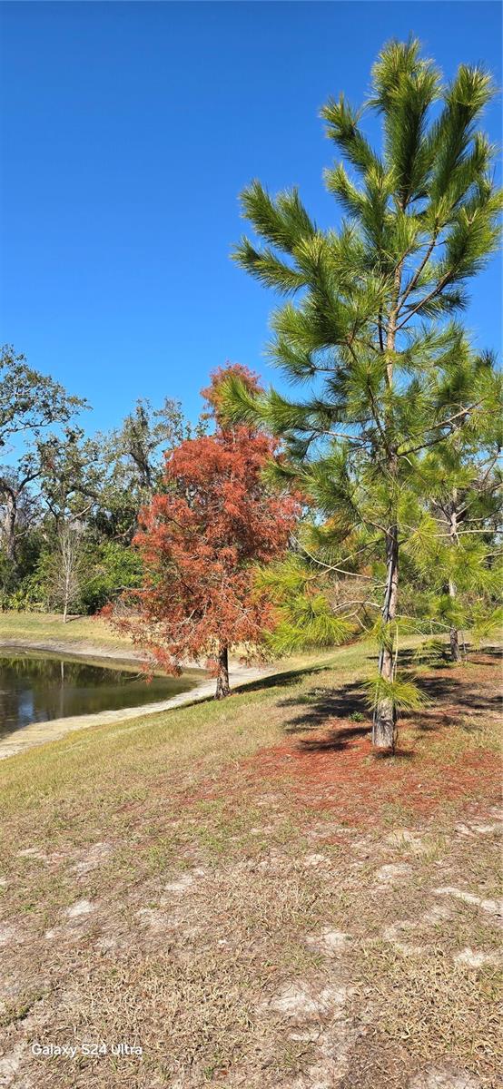 2933 JACOB CROSSING LN, HOLIDAY, FL, 34691