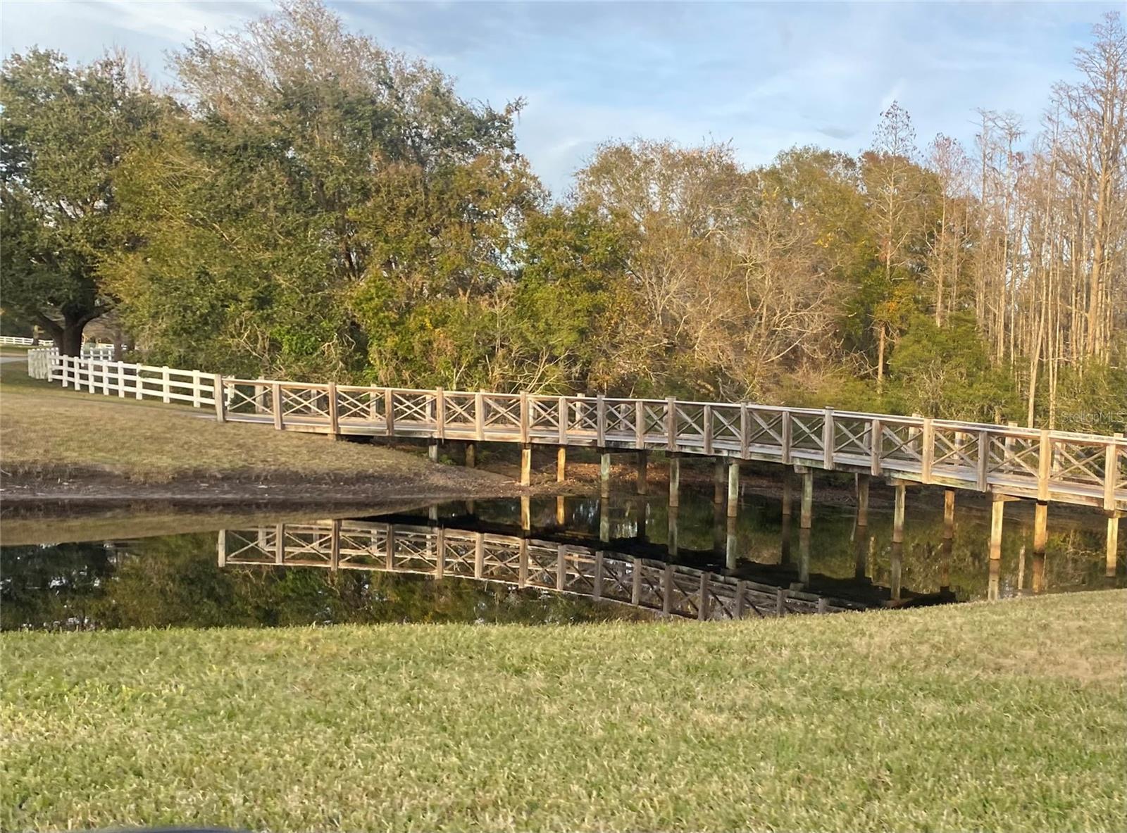 19680 SHADY OAK DR, LAND O LAKES, FL, 34638