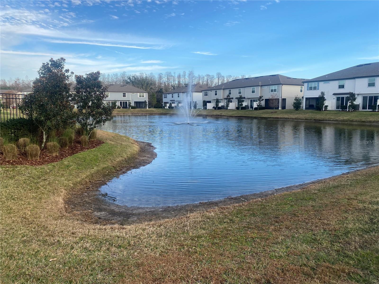 19680 SHADY OAK DR, LAND O LAKES, FL, 34638