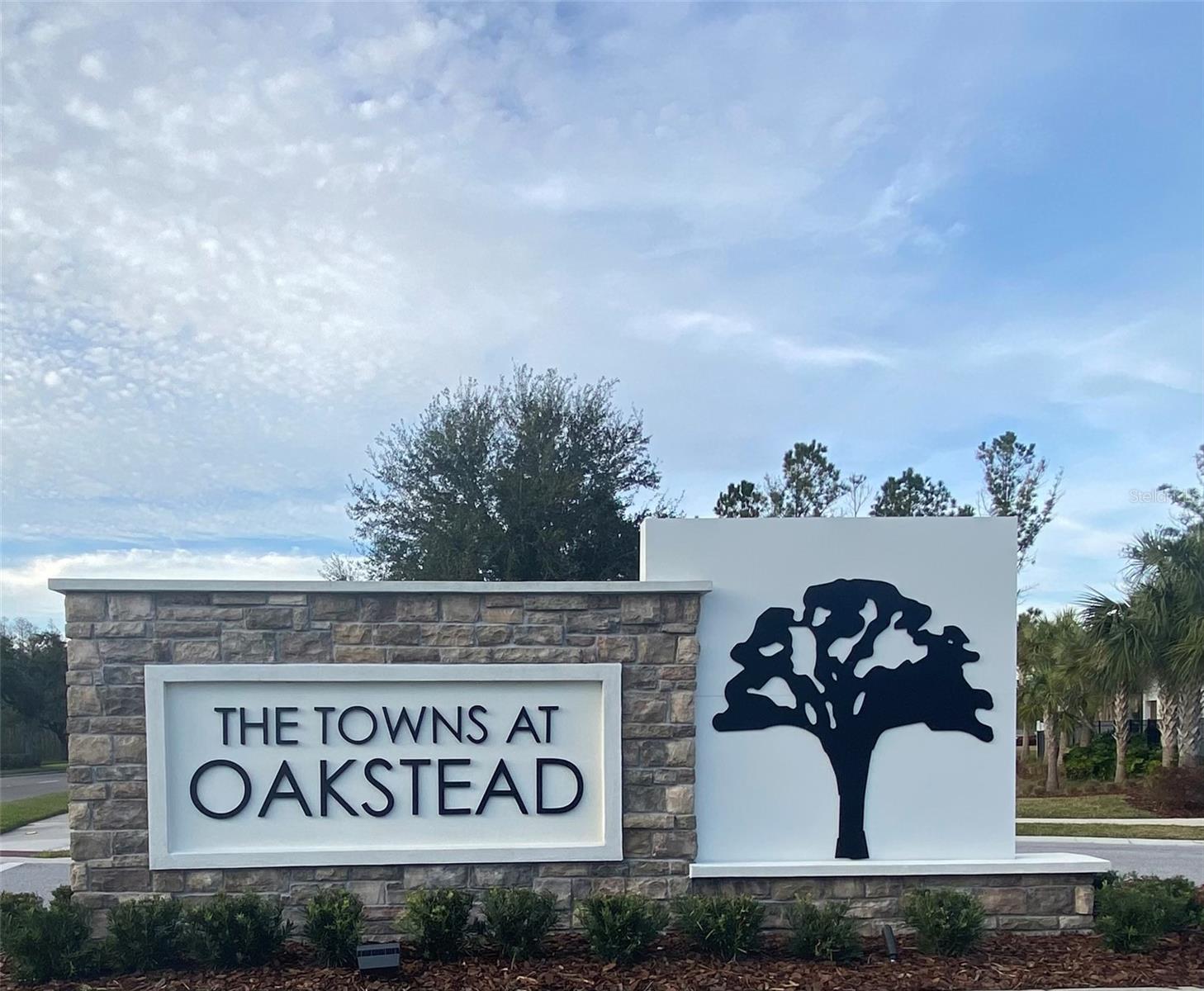 19680 SHADY OAK DR, LAND O LAKES, FL, 34638